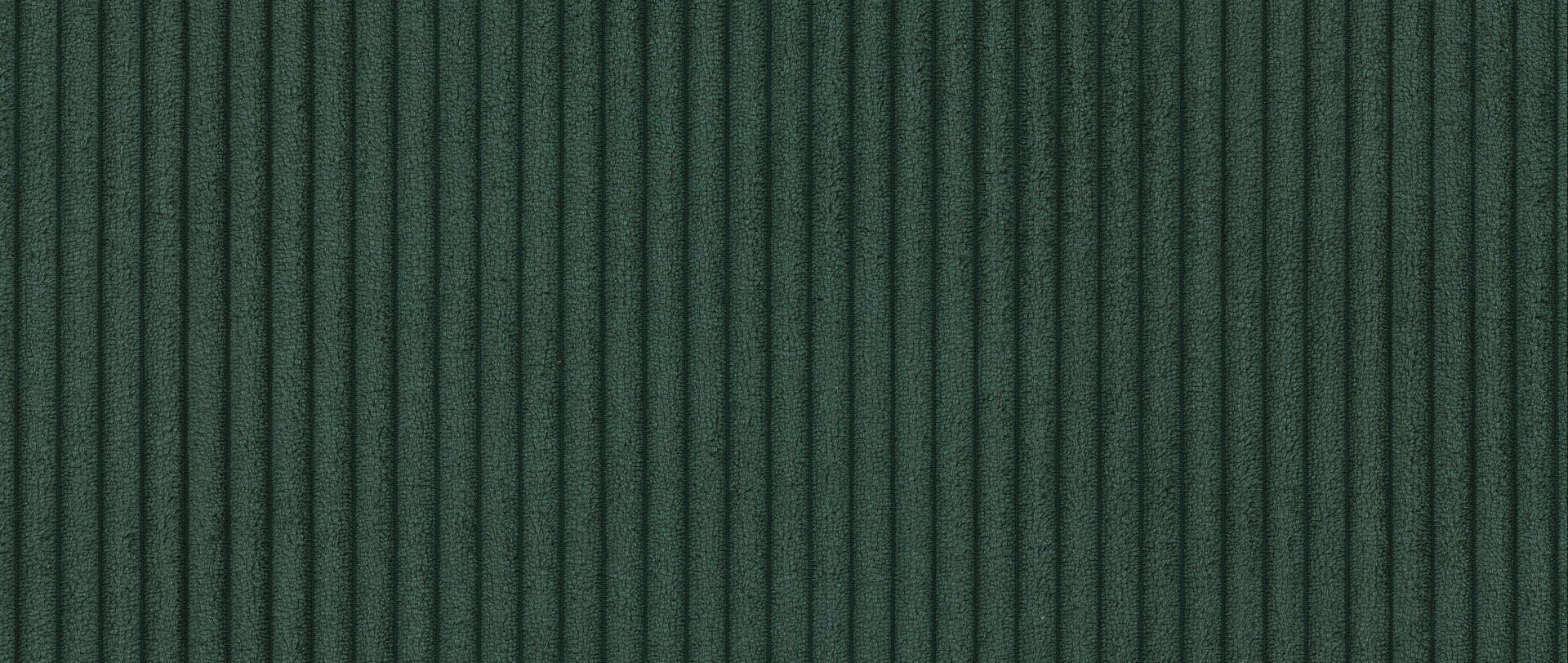wz2061-9 Vert sapin