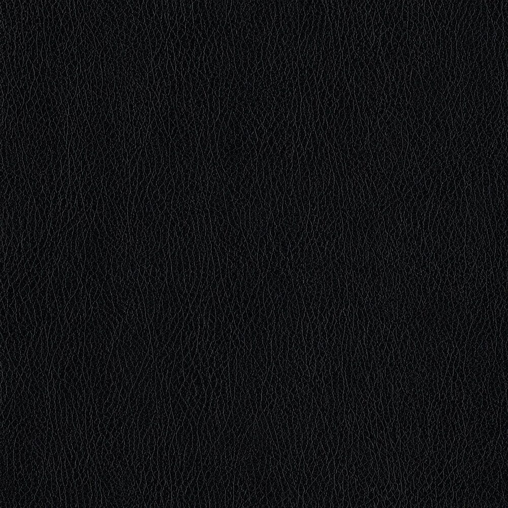Noir (PU7)