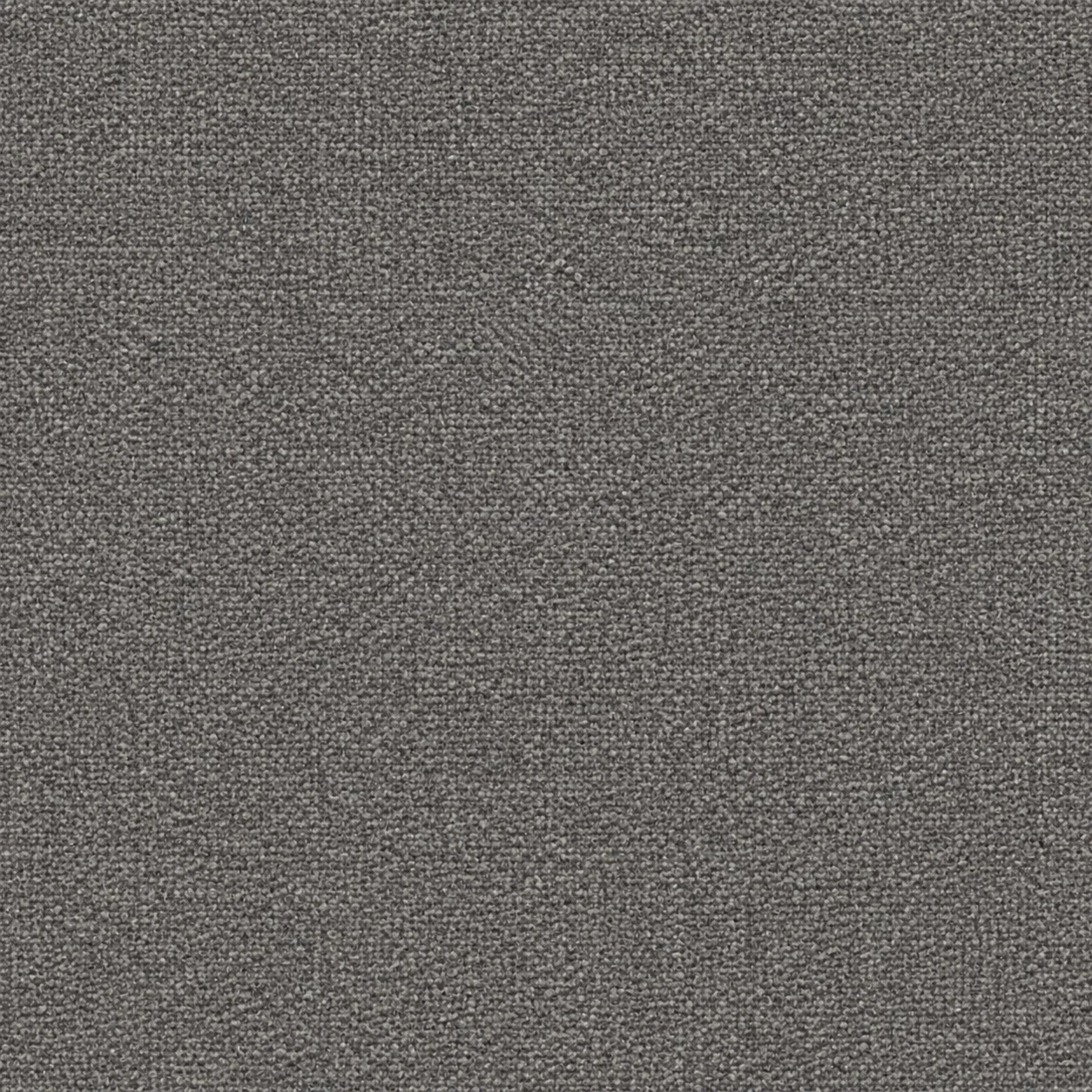 Coco 13 - Graphite