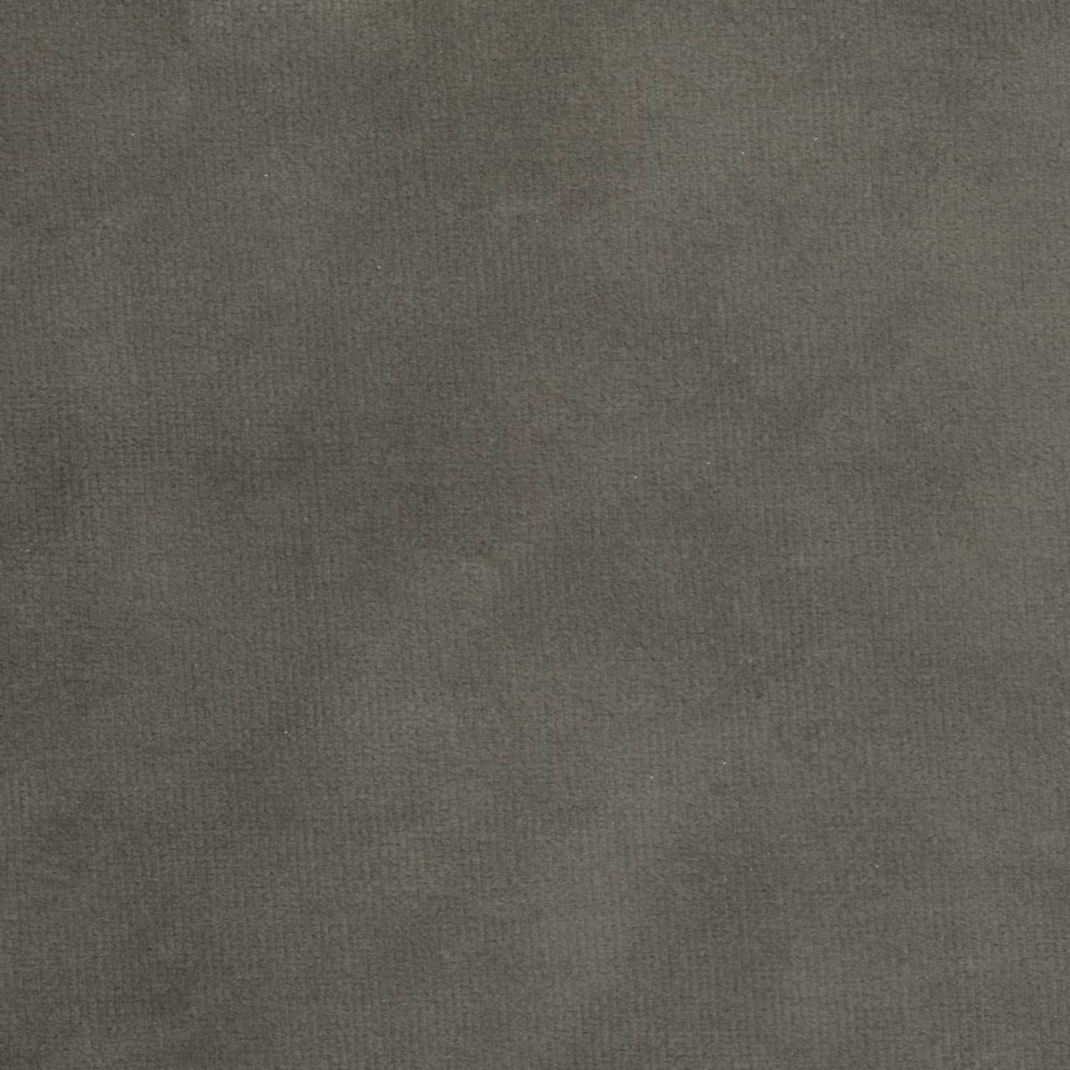 Velours gris 43