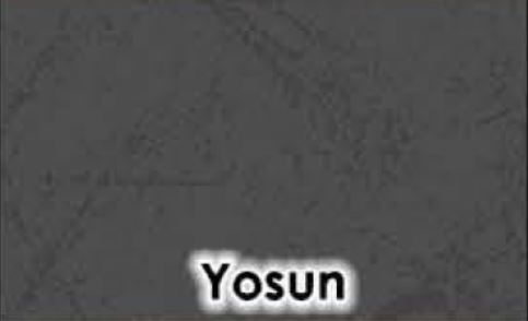 Yosun
