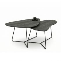 TUSSEY - Lot de 2 Tables Basses 125cm*80cm*75cm