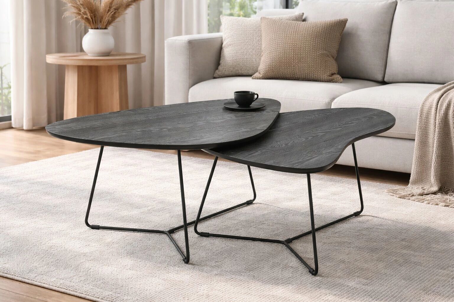 TUSSEY - Lot de 2 Tables Basses 125cm*80cm*75cm